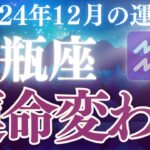 【水瓶座】2024年12月のみずがめ座さんの恋愛運、金運、仕事運、健康運をタロットと星読みで鑑定します。