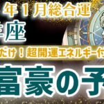 【牡羊座 2025年1月】爆富豪来る！おひつじ座の運勢を星とタロットで解説