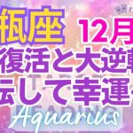 ♒水瓶座12月運勢🌈✨大幸運！！奇跡の大逆転！理想と幸運の世界へ💐✨