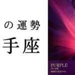 【射手座1月】大事な分岐点。今より広い世界がいて座を呼んでいる！2025年タロット占い