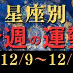 2024年12月9日〜12月15日の星座別運勢