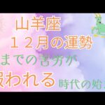 2024年山羊座♑️12月の運勢🌈🌈🌈今までの苦労が報われる時代の始まり🍀🍀🍀愛・経済・仕事・人間関係の豊かさを手に入れる