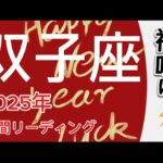 双子座♊️2025年どうなる⁇ 年間リーディング✨タロットと星