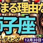 【獅子座】♌️2024年12月30日の週♌️楽しく前進する。とどまる理由なし。新しい1ページが自由に広がる時。タロット占い。しし座