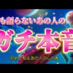 【赤裸々】無言を貫くあの人の超本音を深掘り！あの人の本当の気持ち💗とは？今後の動きや変化🌈も　個人鑑定級　透視タロット占い