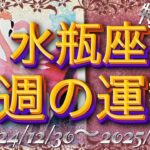 ♒️年を越えるreading🐲から🐍年へ＊2024/12/30〜2025/1/5＊【水瓶座さん特化型】今週の運勢🎉