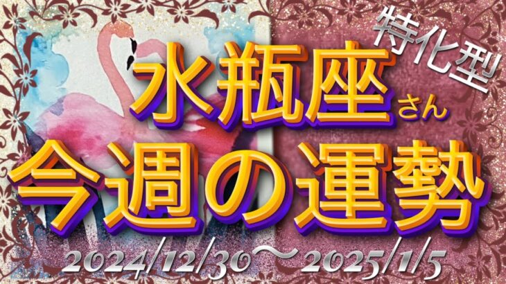 ♒️年を越えるreading🐲から🐍年へ＊2024/12/30〜2025/1/5＊【水瓶座さん特化型】今週の運勢🎉