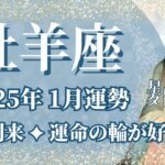 【おひつじ座】1月運勢　最強運気 到来💪運命の輪が大好転するとき🌈幸運の鍵は、得られたものに目を向けること【牡羊座 １月】タロットリーディング