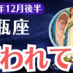 【水瓶座】2024年12月後半みずがめ座『笑われている』その真実と驚くべき未来とは？