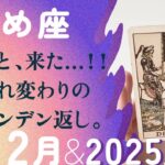 超ド級の神展開☠️低迷期が終わり、魂が復活する2025年。【12月の運勢・2025年上半期の流れ　乙女座】