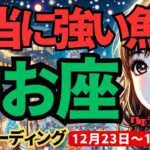 【魚座】♓️2024年12月23日の週♓️本当に強い魚座さん。肚をくくって、何でも乗り越えて行ける時。うお座。タロット占い