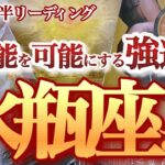 水瓶座 12月後半【金運大上昇！奇跡は何度もやって来る】漲るパワーでチャンスを大きく育てて行く時！　　みずがめ座　2024年１２月運勢  タロットリーディング