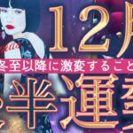 【16日から31日】どんな1年の締めくくり⁉️選択肢○さんが受け取る最幸のプレゼント✨起こりそうな事、気をつけること、恋愛仕事健康運、ラッキーアイテム、カラー🌹個人鑑定級