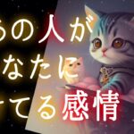 【👀ハッキリ鑑定しました🔮✨】今あの人があなたに向けてる感情❤️‍🔥❤️‍🔥❤️‍🔥