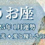 【うお座】1月運勢　希望の光💪愛と優しさに包まれるとき🌈幸運の鍵は、見守ること【魚座 １月】タロットリーディング