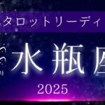 年間タロット占い　水瓶座さんの2025年運勢や流れ、取り組むといいことについてリーディングしました！