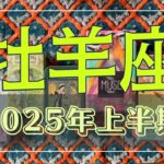 【牡羊座】2025年上半期👀✨〜いつもと違う自分で勝利をつかむ🏆❗️〜　#おひつじ座 #牡羊座 #2025年の運勢 #タロットリーディング