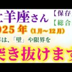 【牡羊座の総合運】2025年（1月～12月）のおひつじ座の総合運。星とタロットで読み解く未来 #牡羊座 #おひつじ座