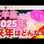 牡羊座🪐【2025年予祝㊗️】驚愕🤗鳥肌級の神展開⚡️連発🎇今迄の人生の努力や苦労や経験が報われて覚醒し波に乗る年到来🎊先読み深掘りリーディング#2025年#潜在意識#牡羊座