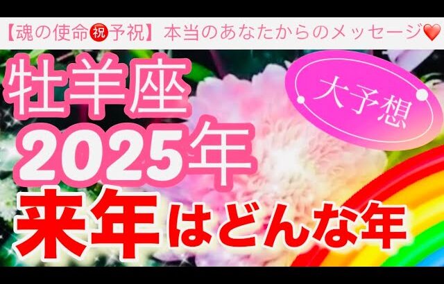 牡羊座🪐【2025年予祝㊗️】驚愕🤗鳥肌級の神展開⚡️連発🎇今迄の人生の努力や苦労や経験が報われて覚醒し波に乗る年到来🎊先読み深掘りリーディング#2025年#潜在意識#牡羊座