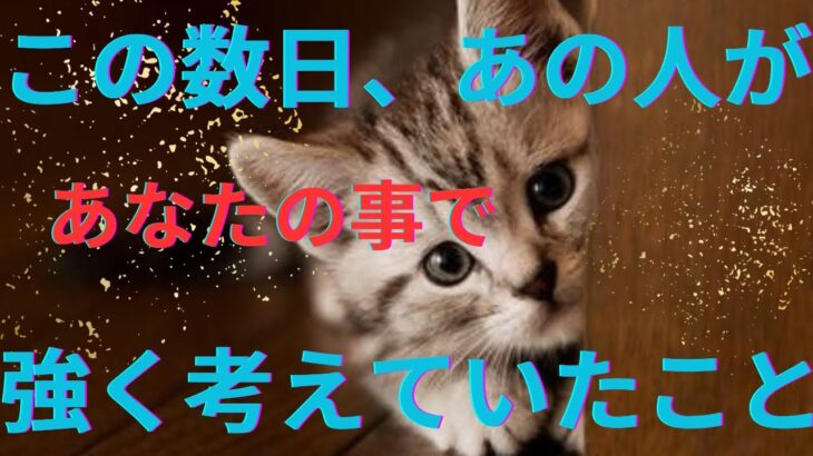 この数日あの人があなたの事で真剣に考えていたこと。気持ち💜恋愛タロット占い オラクルカードリーディング