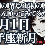 【緊急配信】射手座新月♐️新たな本格風の時代に、大風呂敷を広げてたくさん願ってみて‼️ワクワクして波に乗ってくださいね🌈