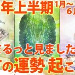 【必見⛩️】2025年上半期あなたに起こること🎍カードを選んで結果を受け取ってね〜✨🦉［タロット・ルノルマン・オラクルカード・霊視占い］