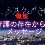 【蠍座♏️】あなたを見守る守護の存在🧚🏻からのメッセージ💌星座占い🔮にはおみくじはありませんのでご了承下さい🙇