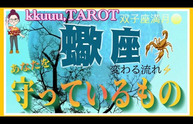 繰り返すことの大切さ🌼蠍座♏️さん【双子座満月🌕〜あなたを守っているものとは⁉️】#2024 #星座別 #タロット占い