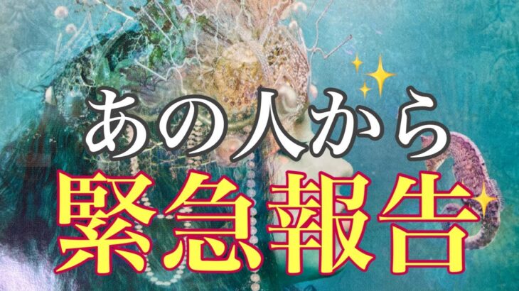 あの人からの緊急報告✨伝えたいことがあるそうです🌈恋愛・復縁・サイレント・複雑恋愛【タロット・オラクル・ルノルマン】