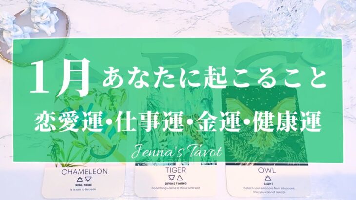 🌈重要🌈【2025年1月運勢🐍】1月あなたに起こること💫恋愛運・仕事運・金運・健康運・テーマ・アドバイス【タロット🌟オラクルカード】片思い・復縁・出会い・人生・未来・転職・人間関係・対人関係・悩み