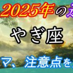 山羊座【2025年の運勢】テーマと注意点～ ジェネラリストへの道 ～