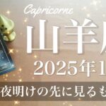 【やぎ座】2025年1月♑️ 白黒はっきり！完結の先に見るものは？夜が明け光が差す、調整と釣り合い、多くを変える柔軟性