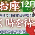 【うお座】個人鑑定級!! 今を頑張る!! 全ての魚座さんに届けたい!!! 🕊️✨【仕事運/対人運/家庭運/恋愛運/全体運】12月運勢  タロット占い