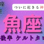 【ついに起きる神展開✨】魚座　12月後半ケルトタロット占い　#タロットカード#タロット#12月運勢 #占い#当たるタロット #タロット占い#運勢