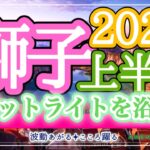 獅子座2025年上半期🪽スポットライトが当たる‼️あなたが選ばれる💖責任の増す立場になる人も😳🐉