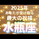 水瓶座♒️2025年あなたが受け取る最大の祝福‼︎〜見た時がタイミング〜Timeless reading〜タロット&オラクルカードリーディング〜潜在意識