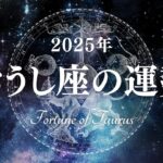 【占い】財運と社交運に恵まれる1年！？2025年おうし座の運勢！【西洋占星術 牡牛座】