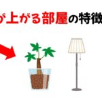 金運が上がる部屋の特徴 15選｜風水や心理学を活用した「お金を引き寄せる部屋」のレイアウトの雑学