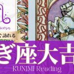 山羊座♑健康や前世にまつわる大吉報🏇もうすぐ訪れる大吉報🏇どんな大吉報が🏇いつ頃訪れる？🌝月星座やぎ座さんも🌟タロットルノルマンオラクルカード