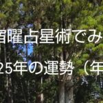 宿曜占星術でみる2025年の運勢(年運)