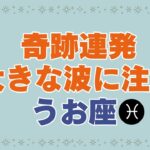 【うお座/タロット/1月運勢】変化が起こる1ヶ月☘️奇跡連発の可能性大