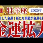 【おひつじ座】2025年全般の牡羊座の金運：金運が安定から成長へ。計画的な管理と挑戦が豊かさを引き寄せます！