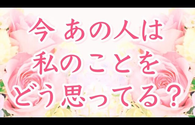 【恋愛タロット】今あの人は私の事をどう思ってる？🩷✨ 【タロットオラクルルノルマンリーディング】