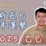 【紫微斗數】天府在巳 流年運勢｜2025 乙巳年