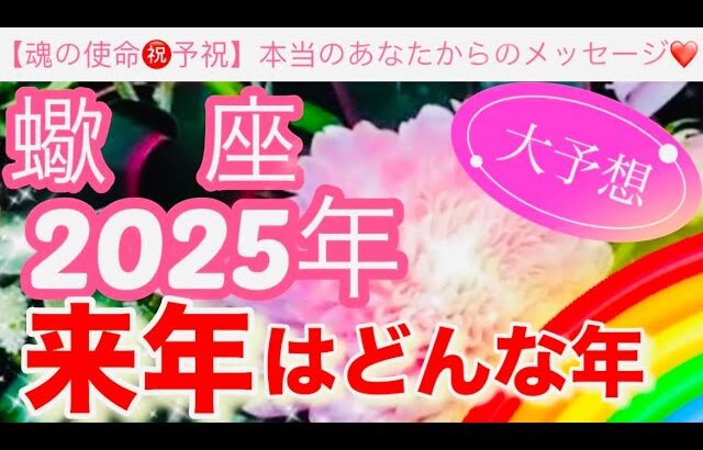 蠍　座🪐【2025年予祝㊗️】驚愕🤗鳥肌級の神展開⚡️連発🎇今迄の人生の努力や苦労や経験が報われて覚醒し波に乗る年到来🎊先読み深掘りリーディング#2025年#潜在意識#蠍座