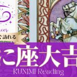 蟹座♋ようやく問題から解放され前進できる大吉報🏇もうすぐ訪れる大吉報🏇どんな大吉報が🏇いつ頃訪れる？🌝月星座かに座さんも🌟タロットルノルマンオラクルカード