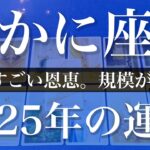 【かに座】2025年（年間保存版）♋️今年は段違いに良いみたい！16年ぶりの恩恵と安らぎ、実りを受け取り本当の楽しさを思い出す一年