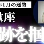 【蠍座】2025年1月さそり座の運勢は「奇跡を掴め」タロットと占星術で鑑定