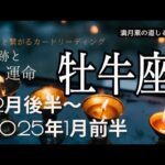 牡牛座♉️12月後半〜2025年1月前半の運命⭐️凄いカードが揃う‼️大好転🎉あっと言う間に希望を叶え新たな形の幸福がやって来る😊